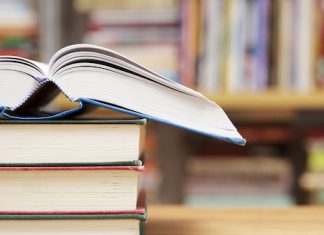 State of Michigan Establishes Literacy Commission