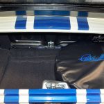 Trunk
