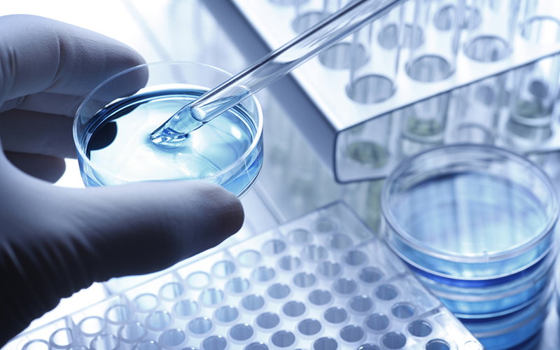 A scientist holds a petri dish uses a pipette to remove a sample of solution. In the background is a stack of petri dishes and two test tube racks which suggest the sterile environment of a laboratory. The hand is covered with a latex glove. A cool blue tone is the dominant color scheme.