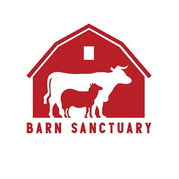 Courtesy of Barn Sanctuary