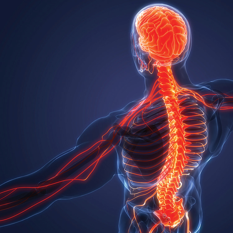 MHSI-Orange-Spine-Man MHSI-Orange-Spine-Man