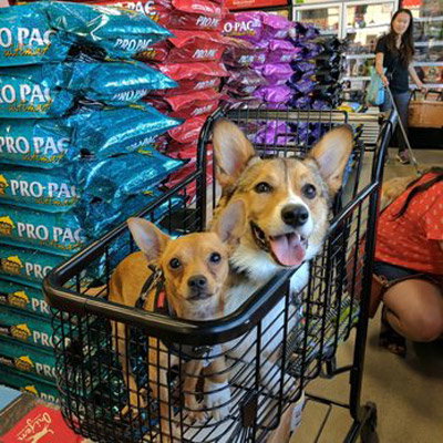 Premier Pet Supply in Beverly Hills, a family-owned, independent pet specialty retailer, and The 4 Paws Market in Waterford Township, have jointly announced a transition of ownership. Terms of the deal were not disclosed.